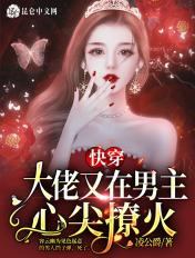 大佬在快穿很忙笔趣阁